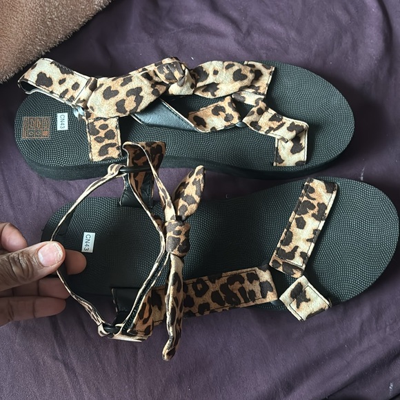 Leopard - Picture 3 of 4